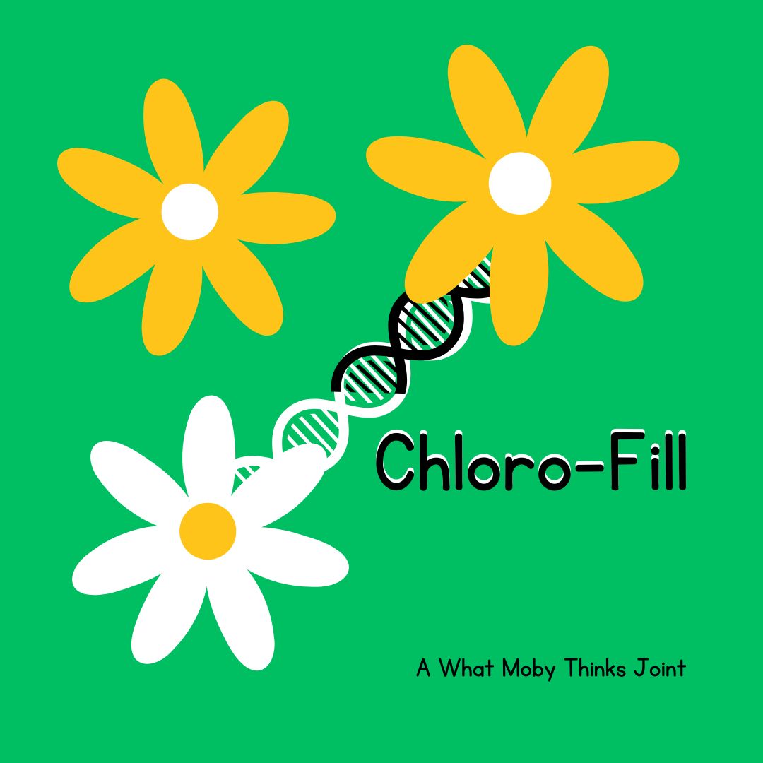 Chloro-Fill coloring book cover